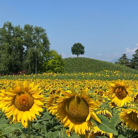 Bed and Breakfast Borghetto San Biagio Relais Agriturismo Thiene Zewnętrze zdjęcie